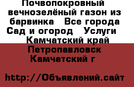 Почвопокровный, вечнозелёный газон из барвинка - Все города Сад и огород » Услуги   . Камчатский край,Петропавловск-Камчатский г.